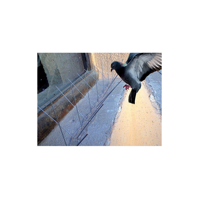 Pics anti oiseaux BIRD GUARD 2 DALEP 603015 25