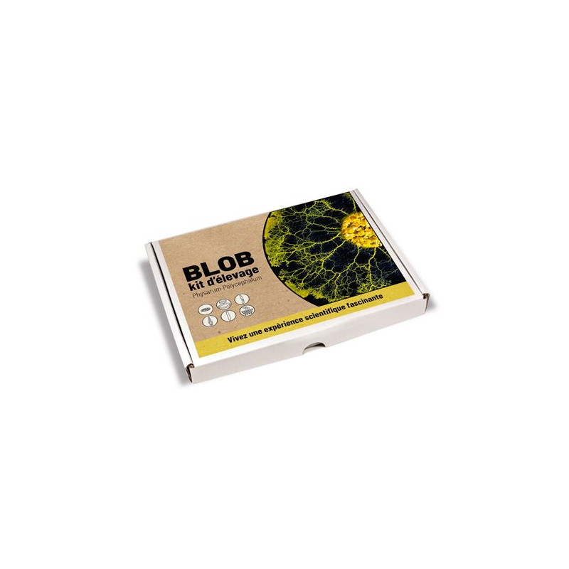 Jeu éducatif Naturalys Coffret élevage de blob