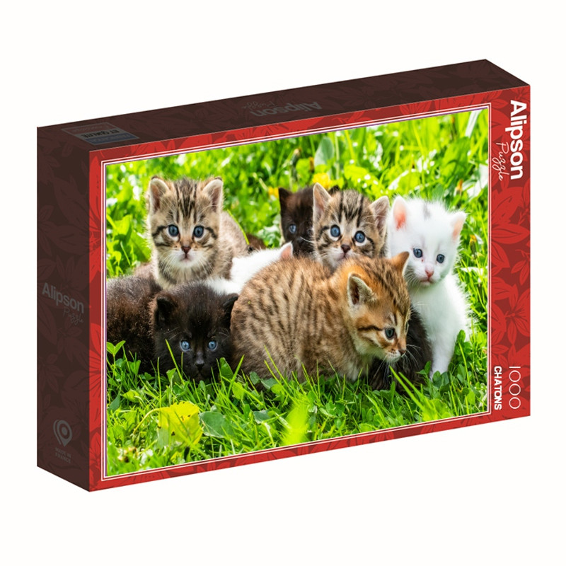 PUZ 1000P GROUPE DE CHATONS ALIZE ALI50078