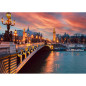 PUZ 1000P PONT ALEXANDRE III ALIZE ALI50013